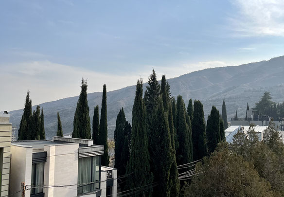 Видова Квартира Бізнес-класу центр Тбілісі