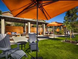 נדל"ן ב Harmony at Sage — עיין במנוע חיפוש הנדל"ן GEOLN.COM. תמונה 4