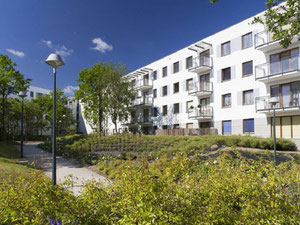 Real estate in Wolne Miasto — look at the real estate search engine GEOLN.COM. Photo 3