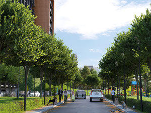 房地产在 Royal Vake — look at the real estate search engine GEOLN.COM. 照片 5