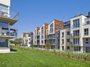 Real estate in Sokolka Zielenisz — look at the real estate search engine GEOLN.COM. Photo 2