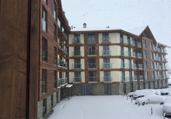 Новый Гудаури Лофт 2, кв. 244