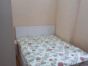 巴统舒适公寓 — 来自开发商和业主的房地产搜索引擎 GEOLN.COM. 照片 8