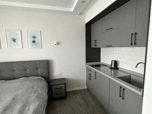 联盟宫工作室 — 来自开发商和业主的房地产搜索引擎 GEOLN.COM. 照片 6