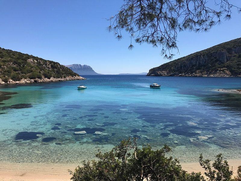 意大利的海边公寓，Golfo Aranci — 来自开发商和业主的房地产搜索引擎 GEOLN.COM. 照片 1