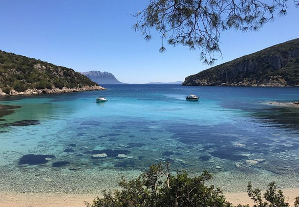 意大利的海边公寓，Golfo Aranci