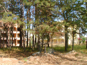 我卖2间房。封闭式建筑群“Bora”中的公寓 — 来自开发商和业主的房地产搜索引擎 GEOLN.COM. 照片 3