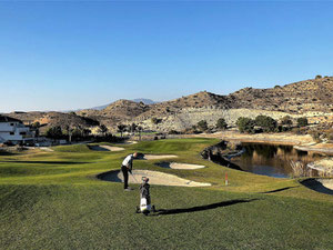 别墅 3 间卧室 102 平方米 — 来自开发商和业主的房地产搜索引擎 GEOLN.COM. 照片 14