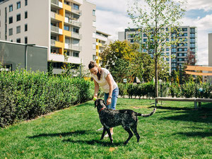 房地产在 Nuppu — look at the real estate search engine GEOLN.COM. 照片 4