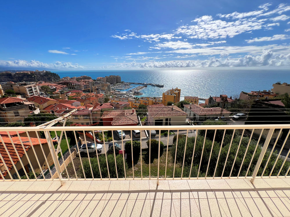 边界 摩纳哥 — 来自开发商和业主的房地产搜索引擎 GEOLN.COM. 照片 1