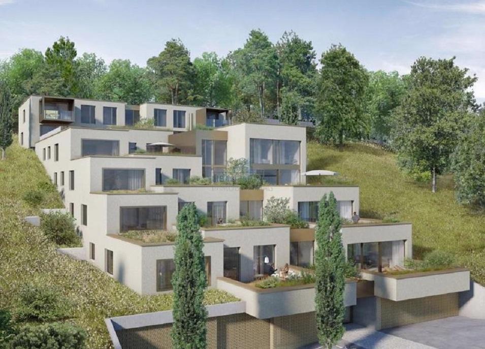 Нерухомість в Rebbergli — дивіться на пошуковику нерухомості GEOLN.COM. Фото 1