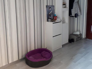 2 кімнатна квартира в Сабуртало. Квартира без посередника в Тбілісі — Пошуковик нерухомості від забудовників і власників GEOLN.COM. Фото 7