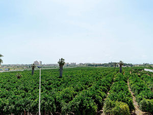 联排别墅 3 卧室 89 平方米，位于西班牙洛斯巴尔科内斯 — 来自开发商和业主的房地产搜索引擎 GEOLN.COM. 照片 20