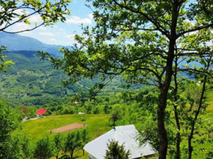 مونتينيغرو. على بعد 9 كم من موكوفات في اتجاه بييلو بولي، يتم بيع عقار ريفي بمساحة 3.1 هكتار. — ابحث عن عقار قيد الإنشاء أو عقار معاد بيعه مباشرة من المطورين والملاك GEOLN.COM. صورة فوتوغرافية 5