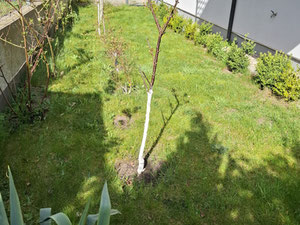 63-метровая квартира — Поисковик недвижимости от застройщиков и собственников GEOLN.COM. Фото 13