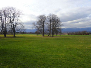 Villa in Switzerland, Vesenaz — Find off-plan property or real estate resale directly from developers and owners GEOLN.COM. Photo 6