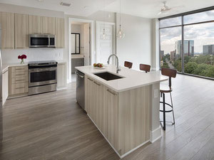 נדל"ן ב AMLI Arts Center — עיין במנוע חיפוש הנדל"ן GEOLN.COM. תמונה 7