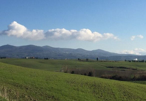 İtalya'nın bir banliyösünde bir köyde arsa, Pisa Sale
