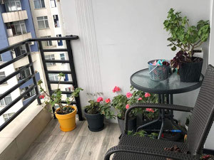 巴图米的公寓 — 来自开发商和业主的房地产搜索引擎 GEOLN.COM. 照片 2