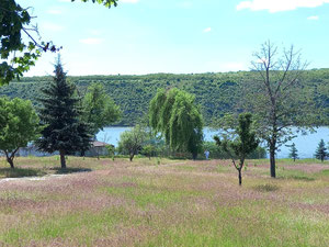 Sanatorium na sprzedaż: Molovata Nouă, rejon Dubăsari, Mołdawia, nad brzegiem rzeki Dniestr — Wyszukiwarka nieruchomości od deweloperów i właścicieli GEOLN.COM. Zdjęcie 9