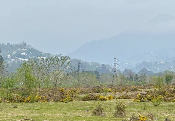 Land plot in Khutsubani