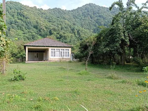 Ділянка землі на продаж у селі Ліхаурі — Пошуковик нерухомості від забудовників і власників GEOLN.COM. Фото 3