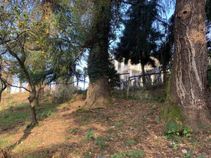 Ділянка — Пошуковик нерухомості від забудовників і власників GEOLN.COM. Фото 3