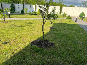 非农业 — 来自开发商和业主的房地产搜索引擎 GEOLN.COM. 照片 2