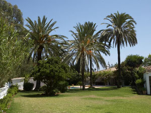 ვილა 7 საძინებელი 700 მ² გუადალმინა ბახაში, ესპანეთი — უძრავი ქონების ყიდვა და მფლო ბელებისგან GEOLN.COM. ფოტო 49