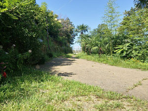 Будинок в Цихісдзірі — Пошуковик нерухомості від забудовників і власників GEOLN.COM. Фото 3