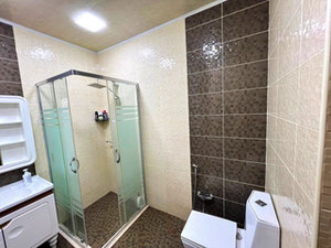 ПРОДАЄТЬСЯ! ПОВНІСТЮ ВІДРЕМОНТОВАНИЙ ДІМ З ДІЛЯНКОЮ — Пошуковик нерухомості від забудовників і власників GEOLN.COM. Фото 6