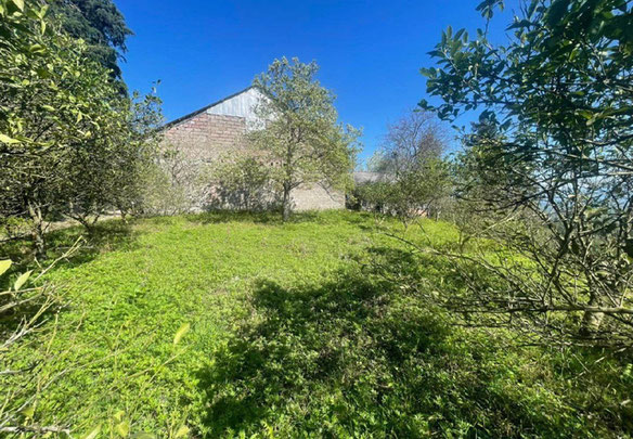 Земельна ділянка в Гурії