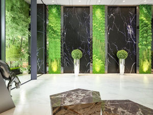 Недвижимость в NEO Timpuri Noi — смотрите на поисковике недвижимости GEOLN.COM. Фото 3