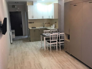 იყიდება 1 ოთახიანი ბინა — უძრავი ქონების ყიდვა და მფლო ბელებისგან GEOLN.COM. ფოტო 5