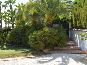 ვილა 4 საძინებელი 414 მ² ელვირიაში, ესპანეთი — უძრავი ქონების ყიდვა და მფლო ბელებისგან GEOLN.COM. ფოტო 4