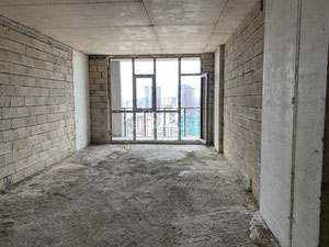 Квартира в чорному каркасі — Пошуковик нерухомості від забудовників і власників GEOLN.COM. Фото 5