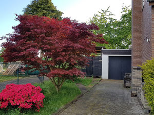 Продается дом в Мюхенгладбахе — Поисковик недвижимости от застройщиков и собственников GEOLN.COM. Фото 2