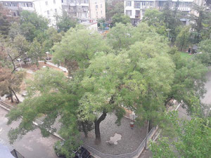 3 ოთახიანი ბინა საბურთალოზე. შეიძინეთ ბინა თბილისში, საბურთალოზე — უძრავი ქონების ყიდვა და მფლო ბელებისგან GEOLN.COM. ფოტო 13