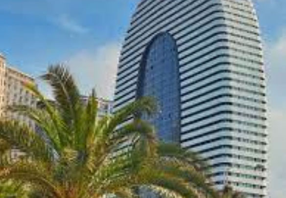 Studio Black Frame Alliance Pallas