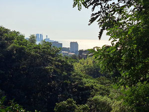 Plot in Makhinjauri with sunset view — Find off-plan property or real estate resale directly from developers and owners GEOLN.COM. Photo 8