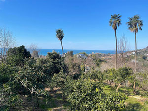 Земельний Участок Рядом с Морем — Пошуковик нерухомості від забудовників і власників GEOLN.COM. Фото 4