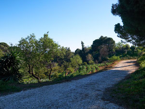 别墅 3 间卧室 374 平方米，位于西班牙埃斯特波纳 — 来自开发商和业主的房地产搜索引擎 GEOLN.COM. 照片 39