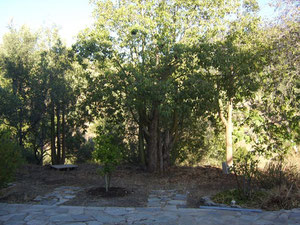 სახლი ზღვის პირას საბერძნეთში, ლუტრაკი — უძრავი ქონების ყიდვა და მფლო ბელებისგან GEOLN.COM. ფოტო 9