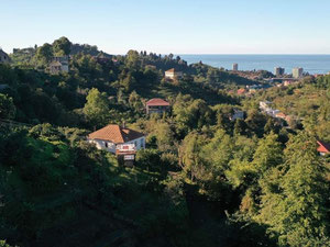 კომერციული მიწა მახინჯაურში — უძრავი ქონების ყიდვა და მფლო ბელებისგან GEOLN.COM. ფოტო 9