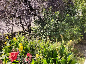 出售在波季的房子 — 来自开发商和业主的房地产搜索引擎 GEOLN.COM. 照片 6