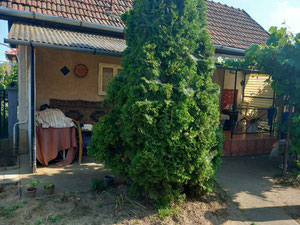 בית למכירה עם כל השירותים. שמך הוא הונגריה. — חיפוש נדל"ן מפרטי ומקבלן GEOLN.COM. תמונה 11