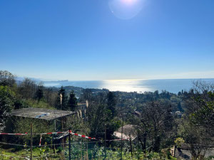 出售土地 — 来自开发商和业主的房地产搜索引擎 GEOLN.COM. 照片 2