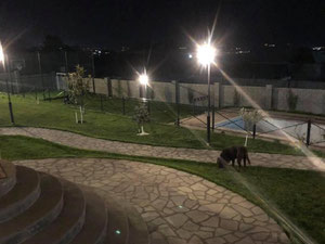 在奥尔塔查尔的小屋。第比利斯的无中介房地产 — 来自开发商和业主的房地产搜索引擎 GEOLN.COM. 照片 14