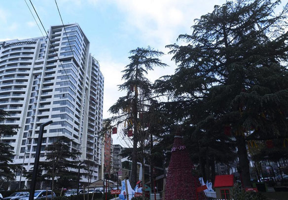 Saburtalo 2间卧室的公寓。第比利斯无中介公寓