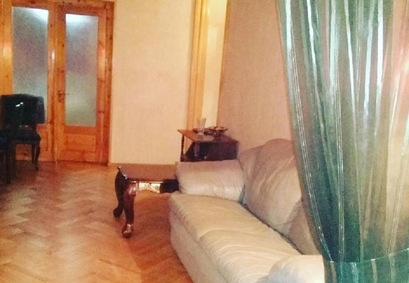 2.5 room apartment in Avlabari. Buy an apartment in Tbilisi, Avlabari